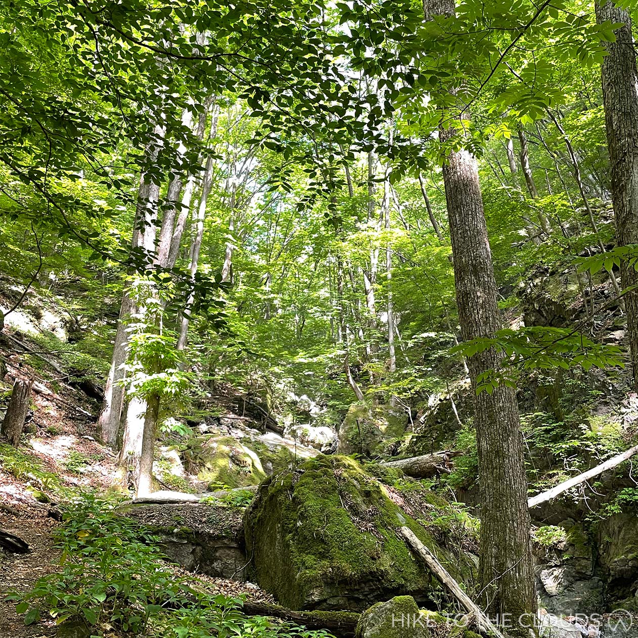 Hike To The Clouds Mid Level Hikers